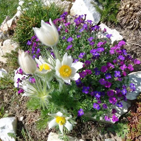 Hummelbrunner Διαμέρισμα