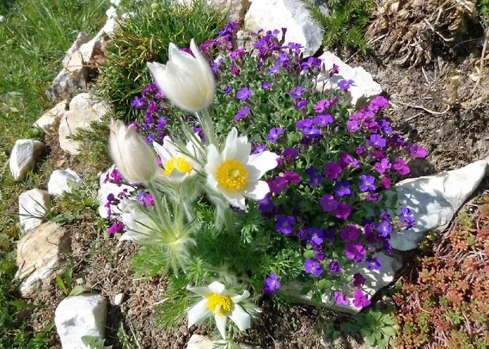 Hummelbrunner Apartment